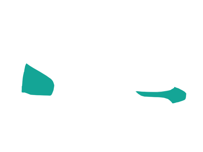 AQUATIC LEATHER