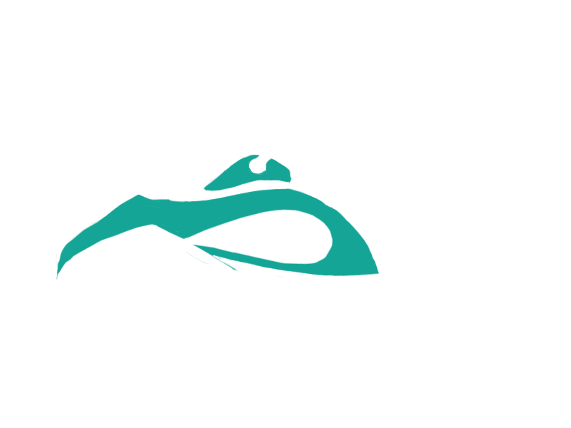 AQUATIC LEATHER