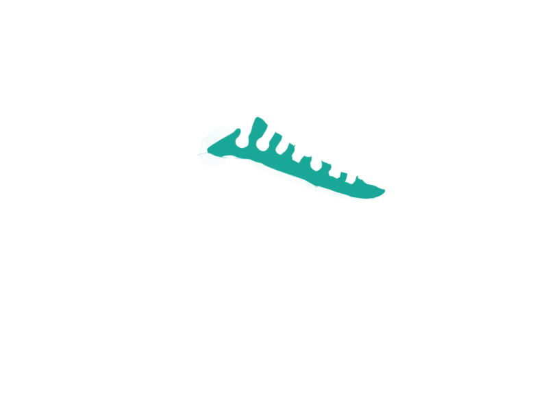 AQUATIC LEATHER