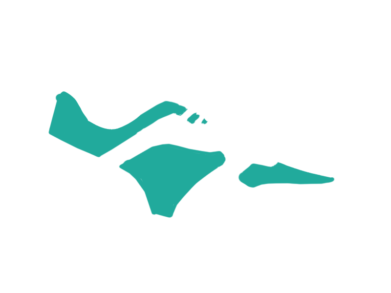 AQUATIC LEATHER