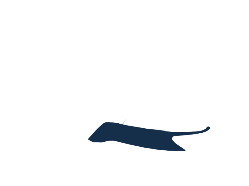 OCEANIA LEATHER