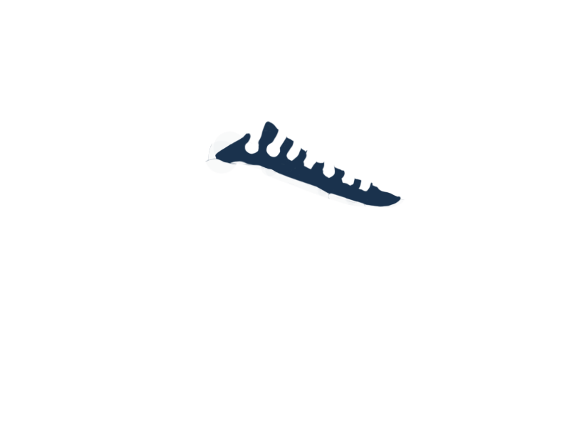 OCEANIA LEATHER