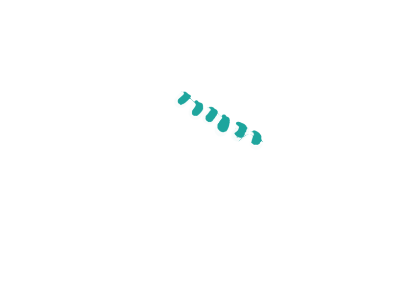AQUATIC