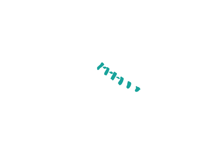 AQUATIC