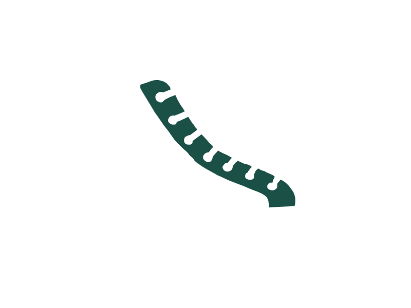 SERPENTINE LEATHER