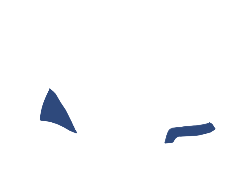 DENIM LEATHER