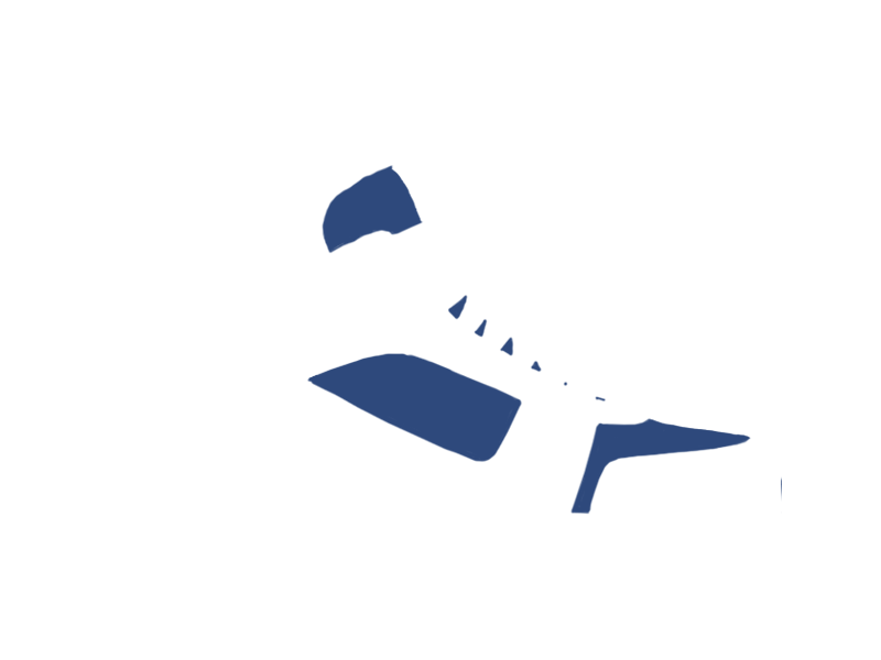 DENIM LEATHER