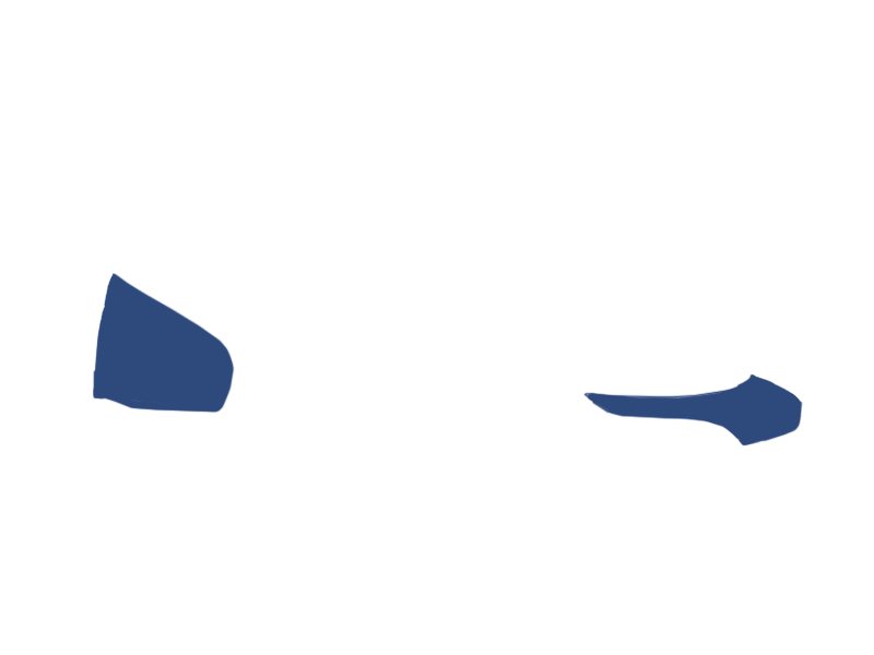 DENIM LEATHER