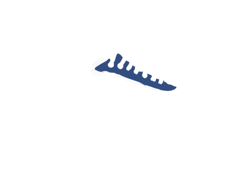 DENIM LEATHER