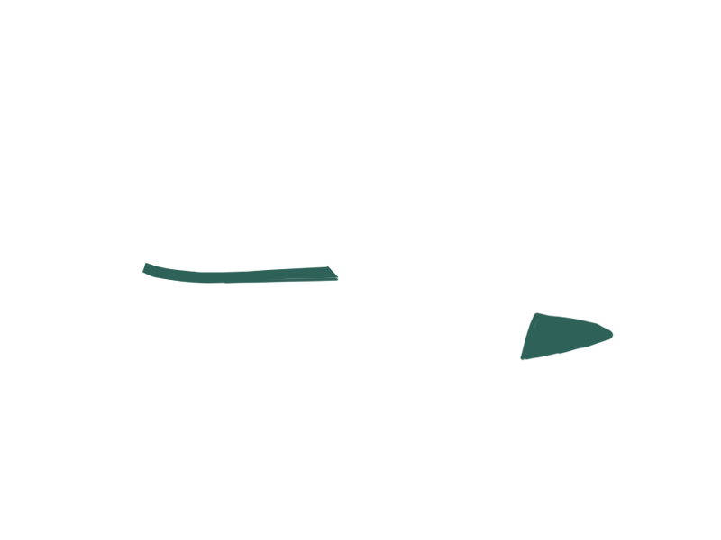 SERPENTINE LEATHER