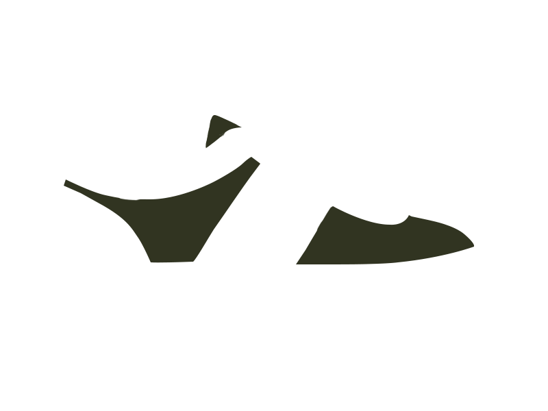 BIRCH LEATHER