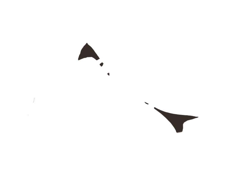 TABACCO LEATHER