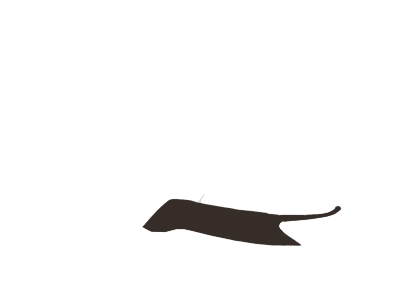 TABACCO LEATHER