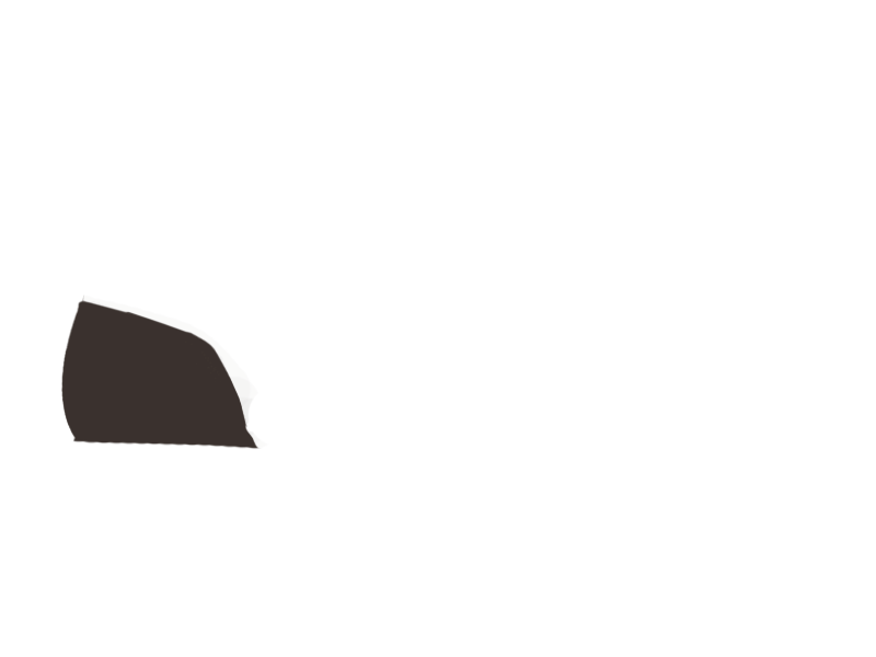 TABACCO LEATHER
