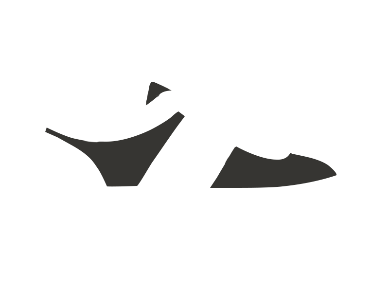 SHARK LEATHER