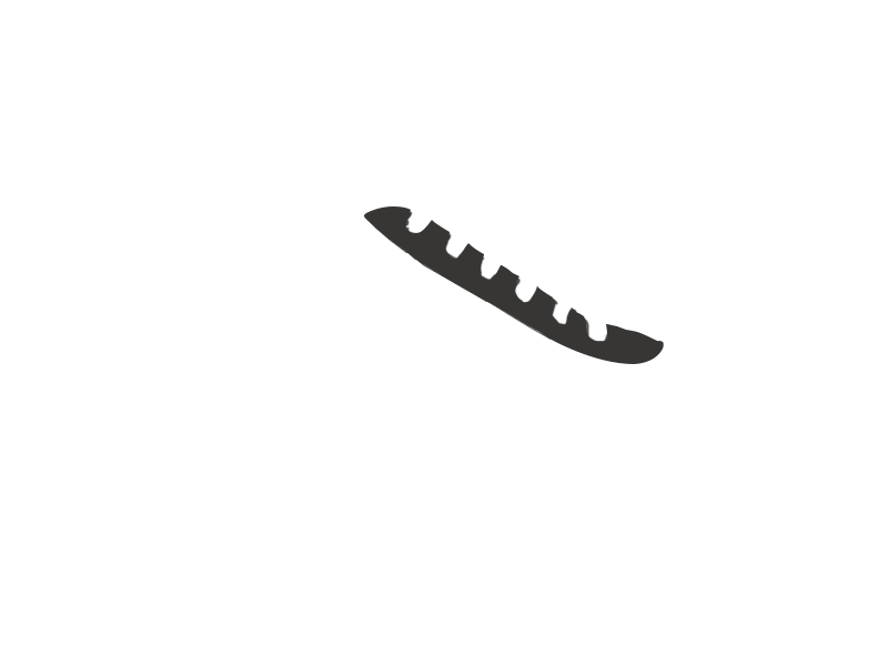 SHARK LEATHER