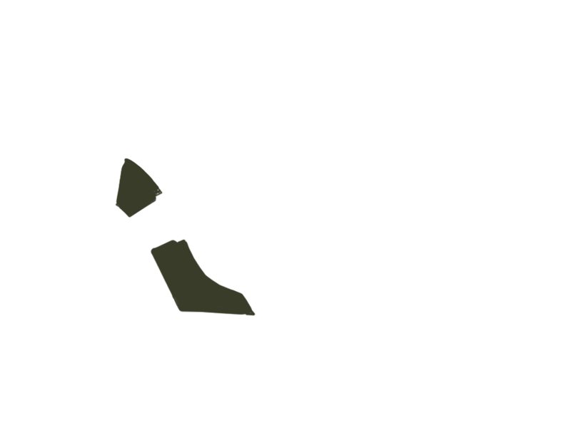 BIRCH LEATHER