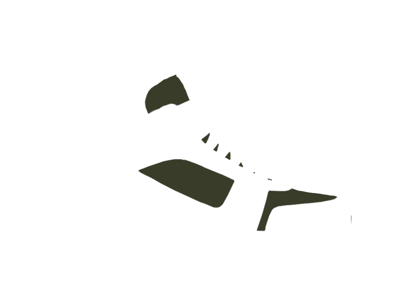 BIRCH LEATHER