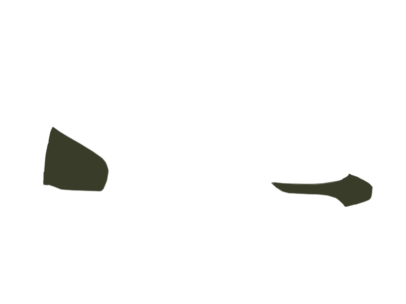 BIRCH LEATHER