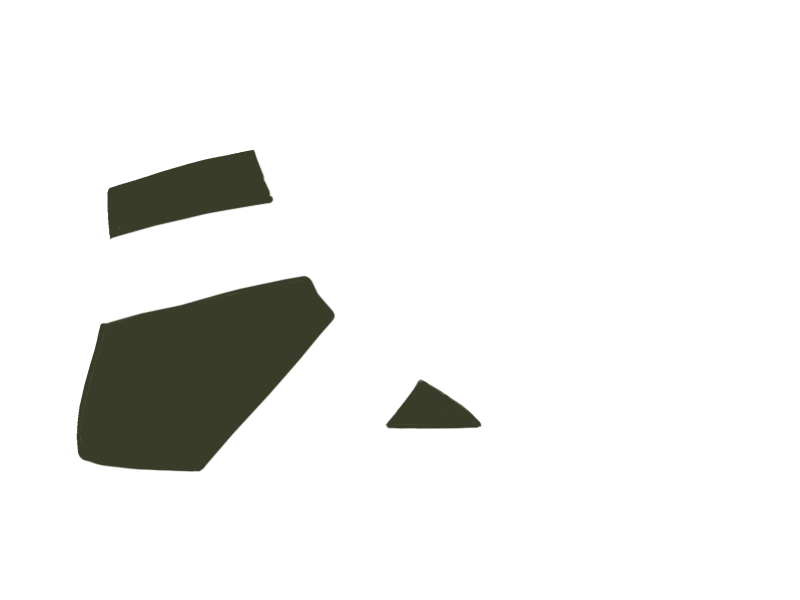 BIRCH LEATHER