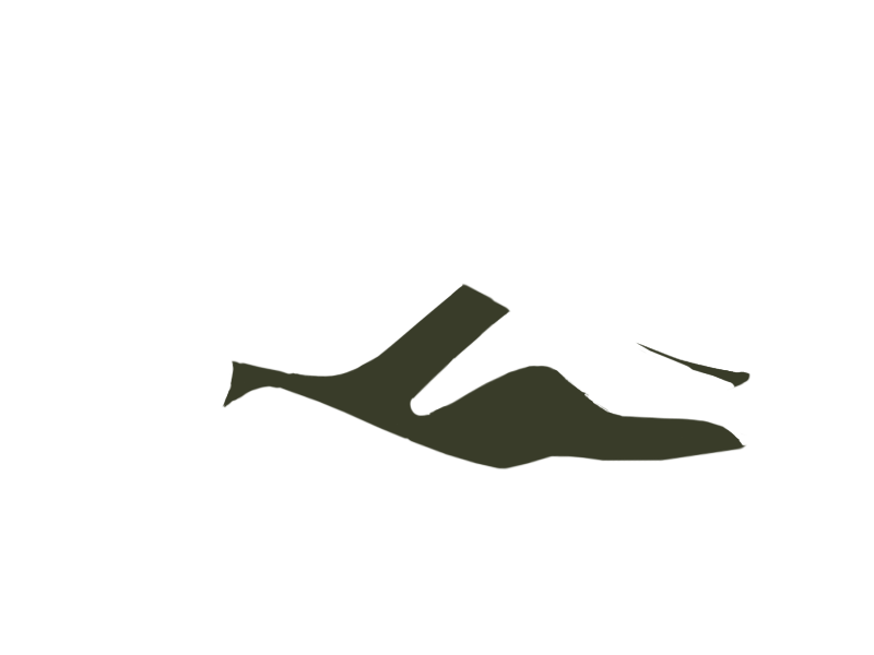 BIRCH LEATHER