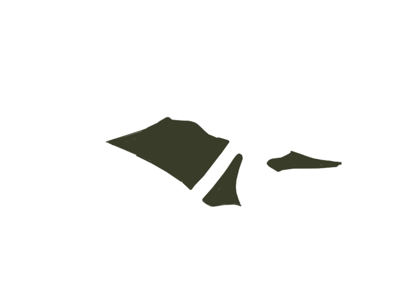 BIRCH LEATHER