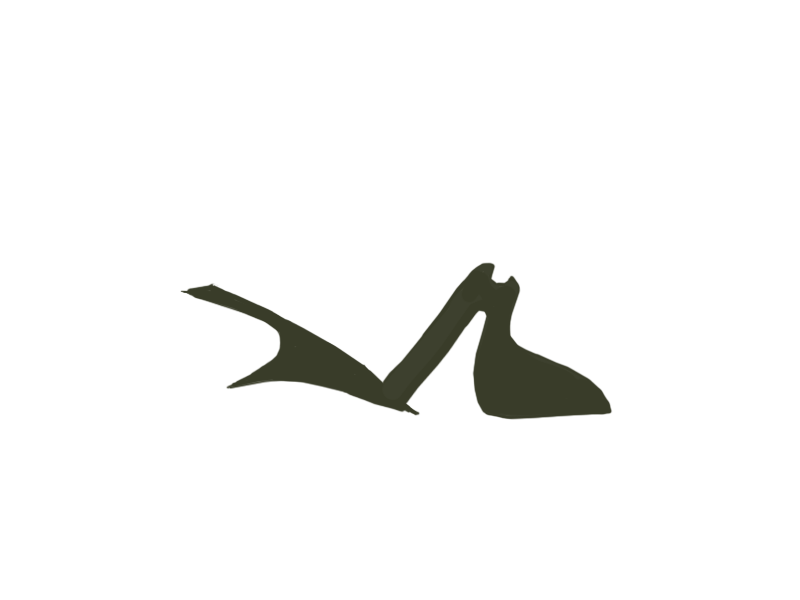 BIRCH LEATHER