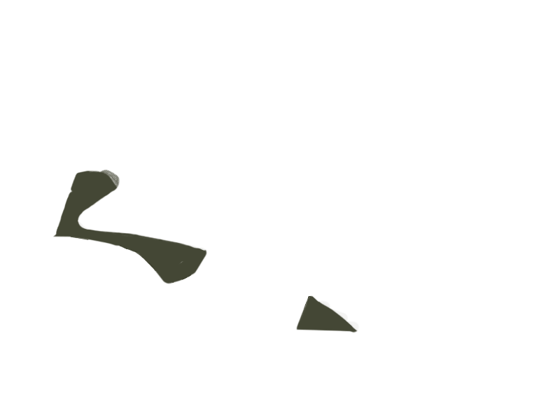 BIRCH LEATHER