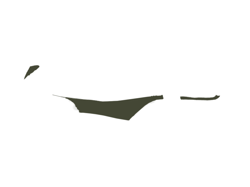 BIRCH LEATHER