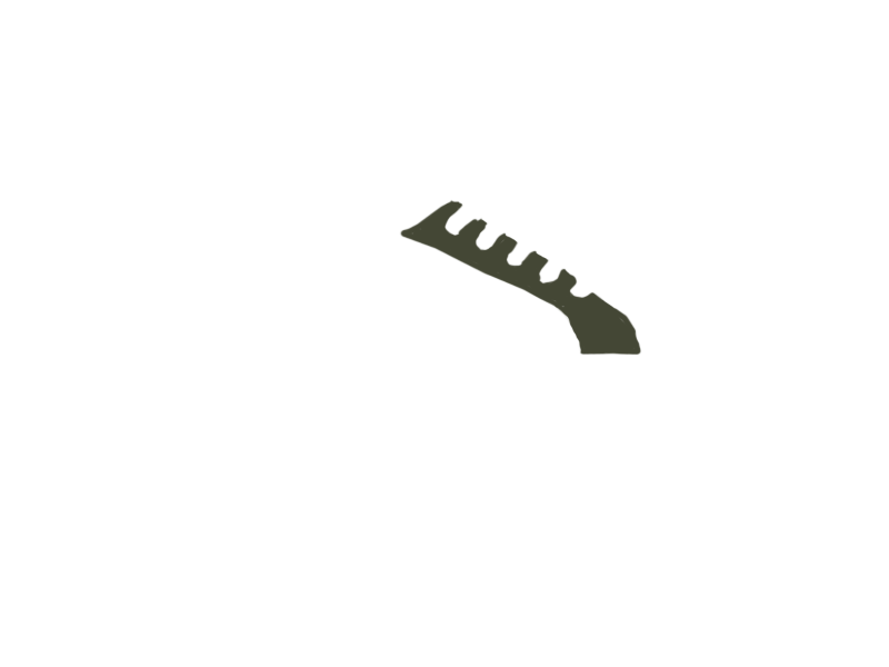 BIRCH LEATHER