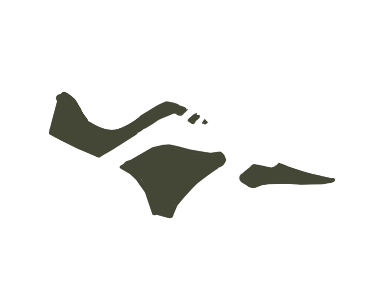 BIRCH LEATHER