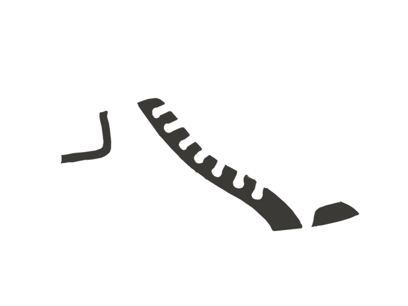 SHARK LEATHER