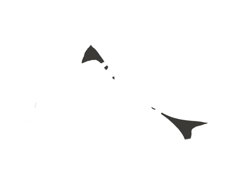 SHARK LEATHER