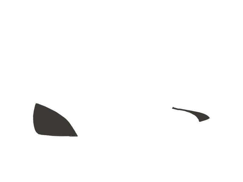 SHARK LEATHER