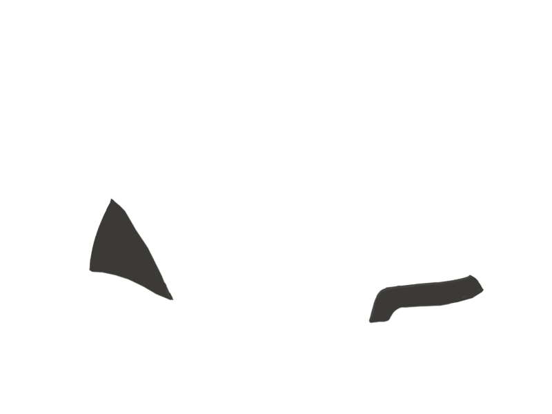 SHARK LEATHER