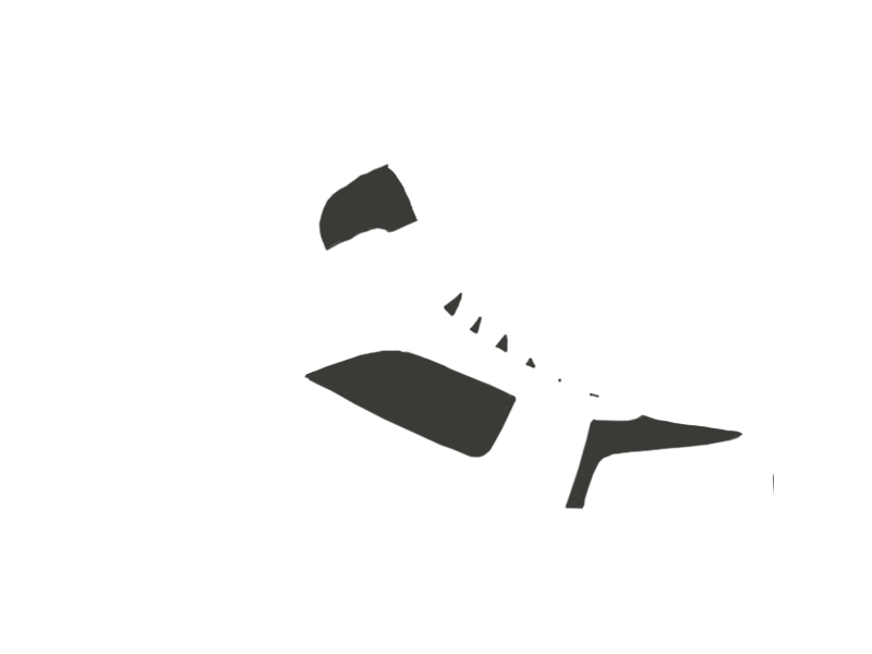 SHARK LEATHER