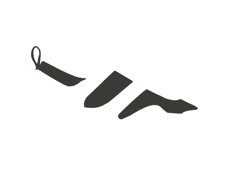 SHARK LEATHER