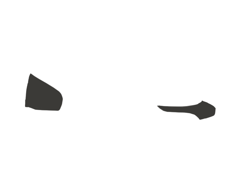 SHARK LEATHER