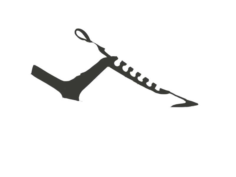 SHARK LEATHER