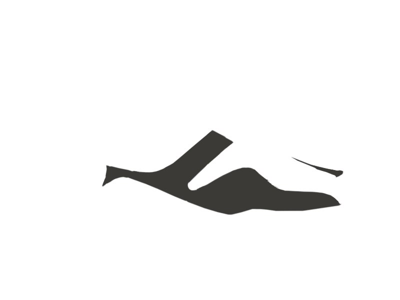 SHARK LEATHER
