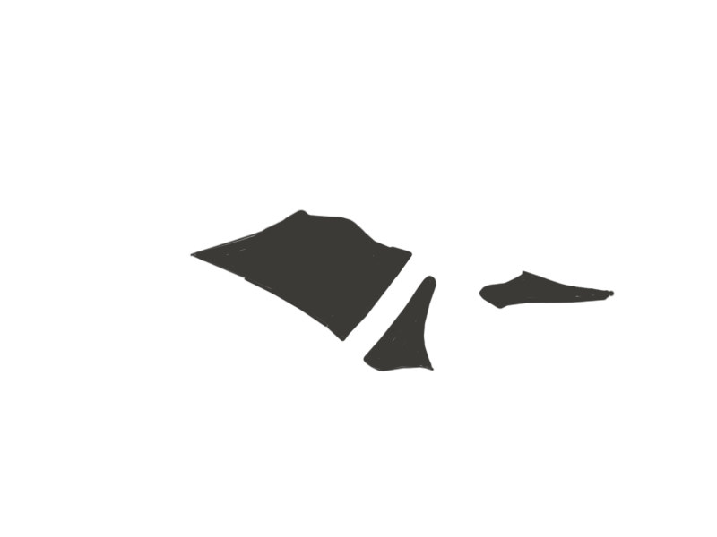 SHARK LEATHER