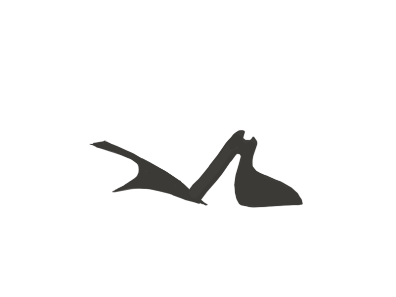 SHARK LEATHER