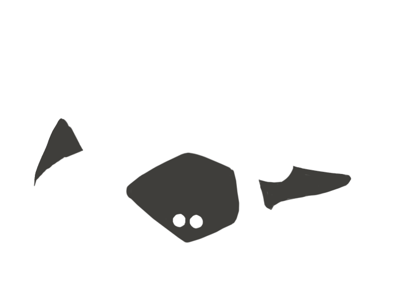 SHARK LEATHER