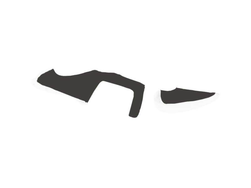 SHARK LEATHER