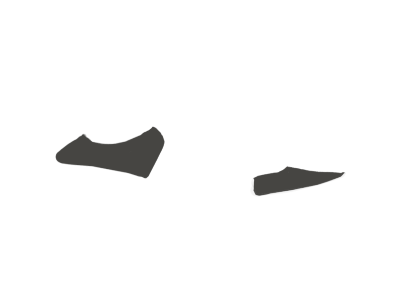 SHARK LEATHER