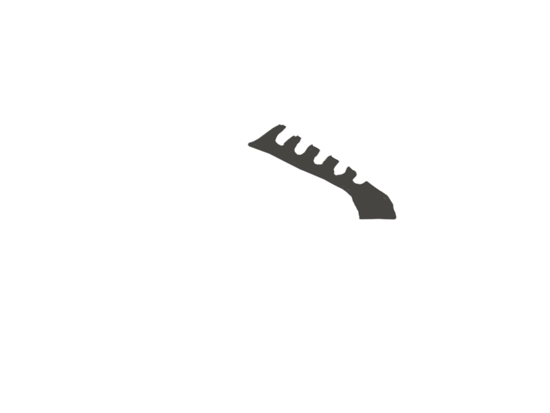 SHARK LEATHER
