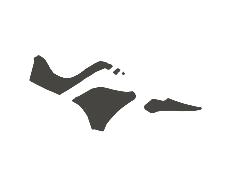 SHARK LEATHER