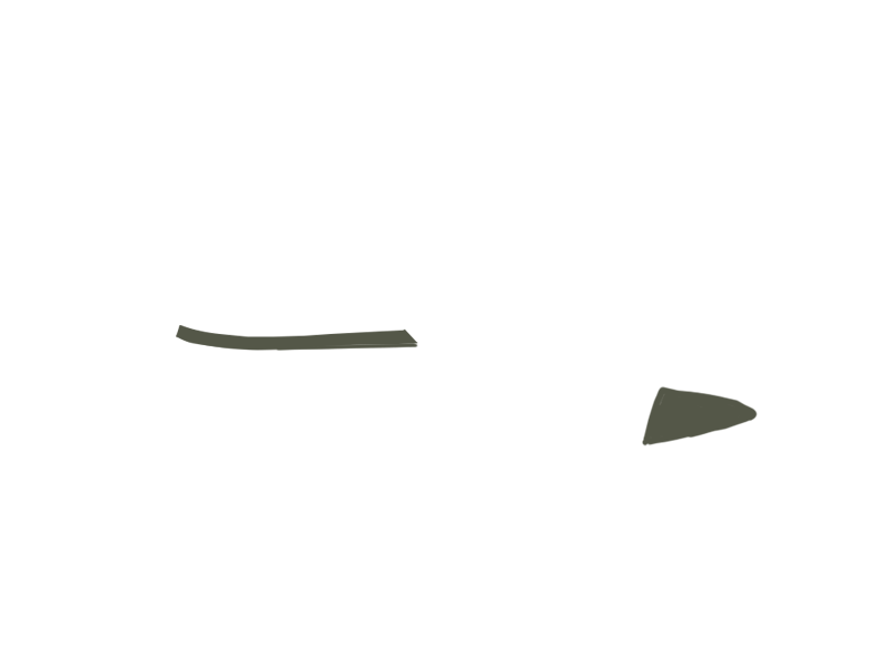 BIRCH LEATHER