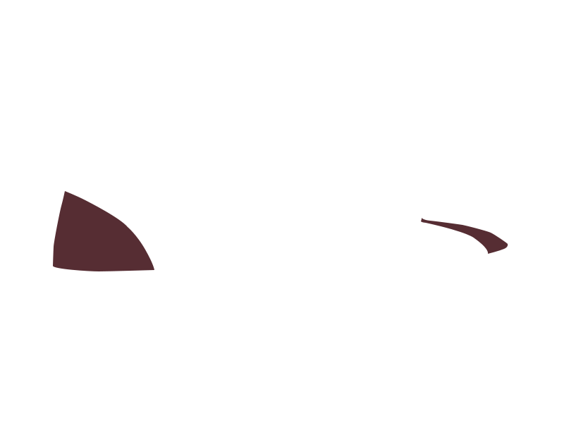 WINE LEATHER
