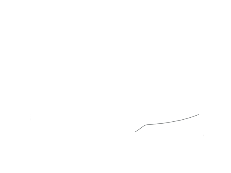 SCHIST